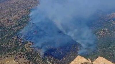 Manisa’da orman yangını