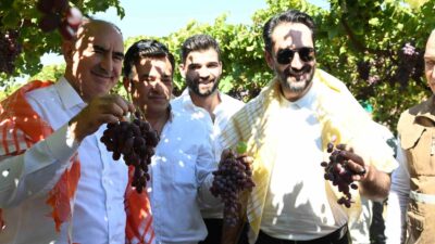 Manisa’da yaklaşık 40 bin aile geçimini bağcılıktan sağlıyor