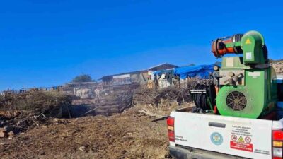 Manisa Büyükşehir Belediyesinden ’mavi dil’ hastalığına karşı mücadele