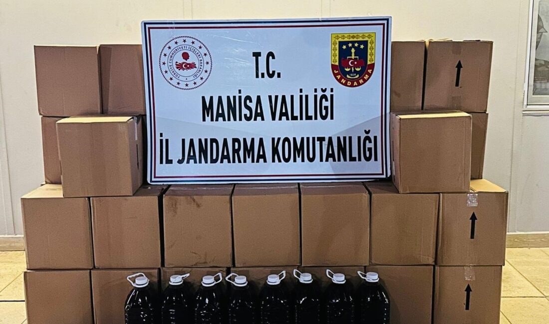 MANİSA'NIN YUNUSEMRE İLÇESİNDE JANDARMA