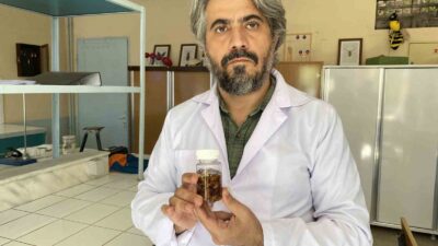 Türkiye’de yeni bir akrep türü keşfedildi