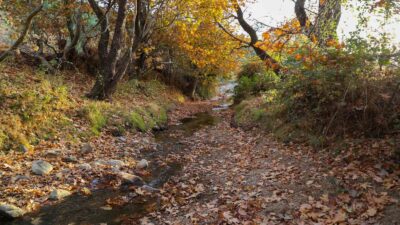 Gördes’ten kartpostallık sonbahar görüntüleri