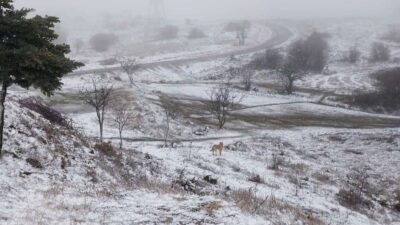 Kırkağaç’ın yüksek kesimleri beyaza büründü