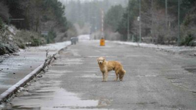 Manisa Spil Dağı’na mevsimin ilk karı düştü