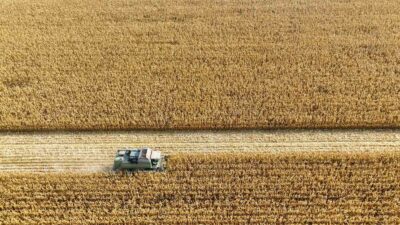 Manisa’da toprak sağlığı için uluslararası proje