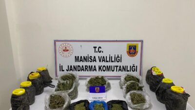 Manisa’da jandarmadan esrar operasyonu