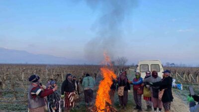 Önce ısınıp sonra işbaşına geçiyorlar