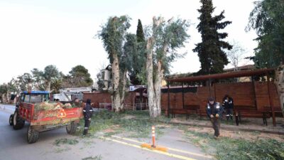 Şehzadeler Belediyesi’nden trafik güvenliği için budama çalışması