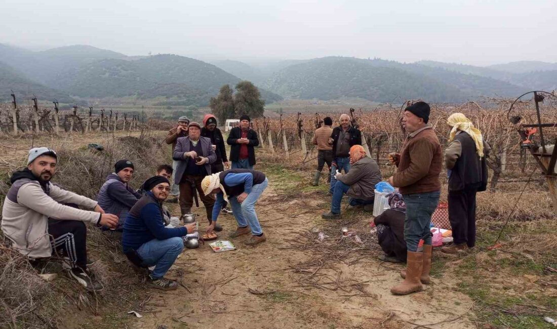 Manisa’nın Sarıgöl ilçesi ve