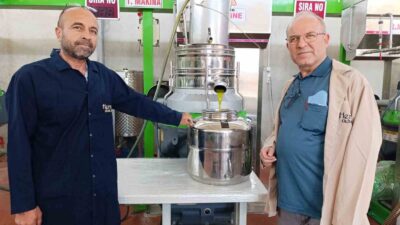 Köprübaşı’nda zeytin sıkım sezonu başladı