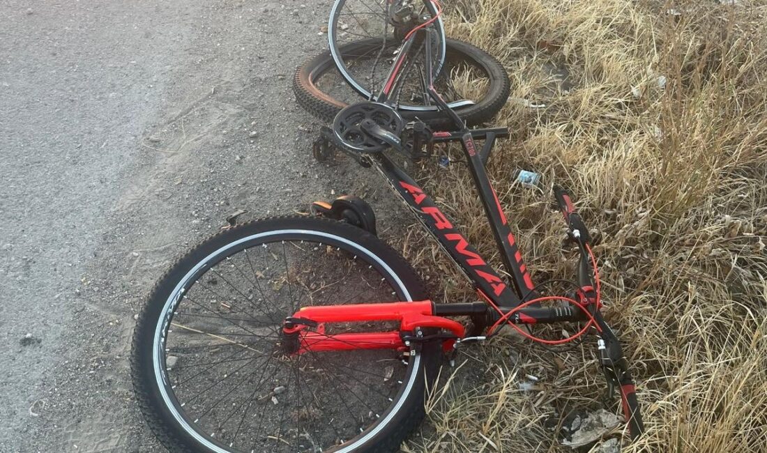 Manisa’nın Salihli ilçesinde kamyonet