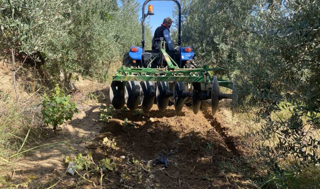 Manisa’nın Alaşehir ve çevresinde