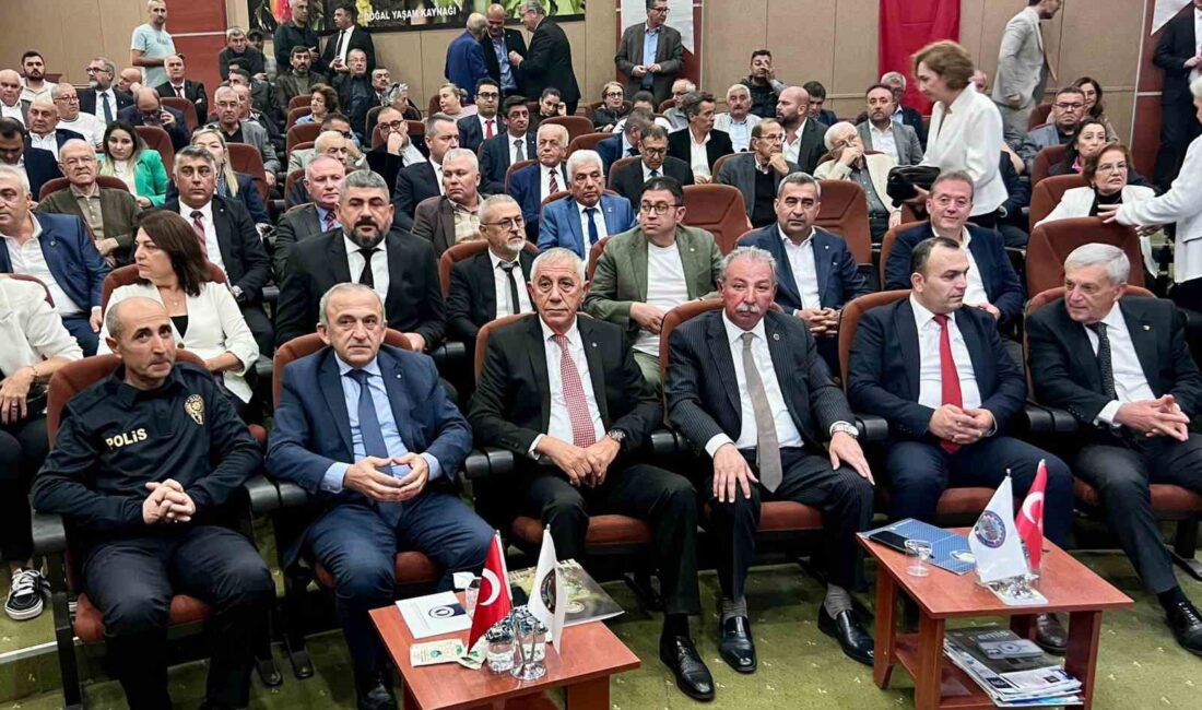 Manisa Ticaret ve Sanayi