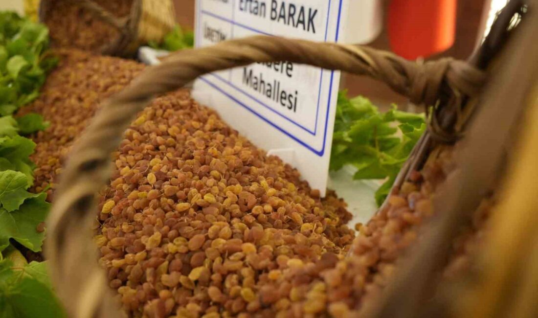 Türkiye’nin en önemli tarım