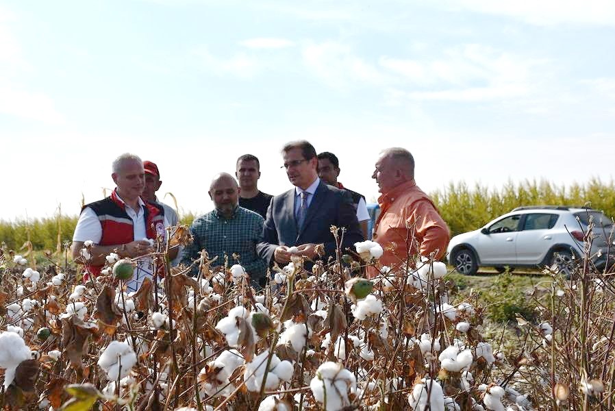 Türkiye’nin önemli tarımsal üretim
