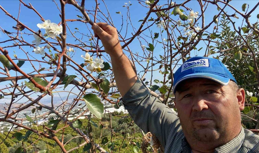 Manisa’nın Sarıgöl ilçesinde bir