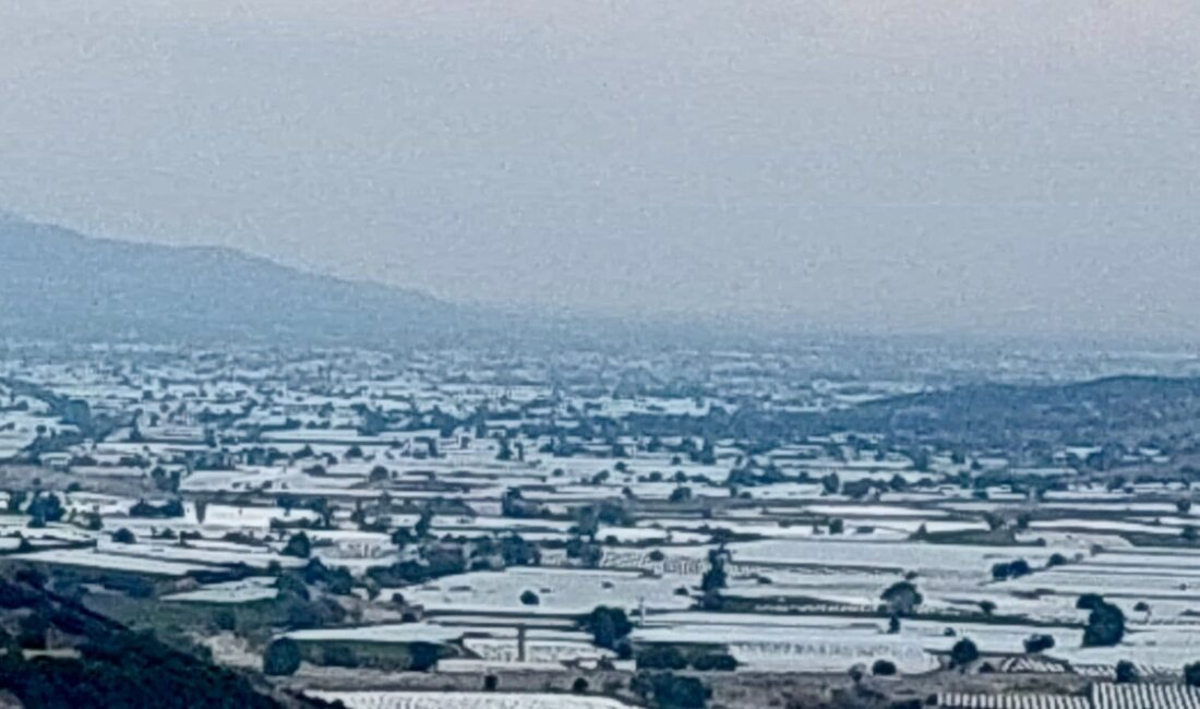 Manisa’nın Sarıgöl ilçesinden dünya