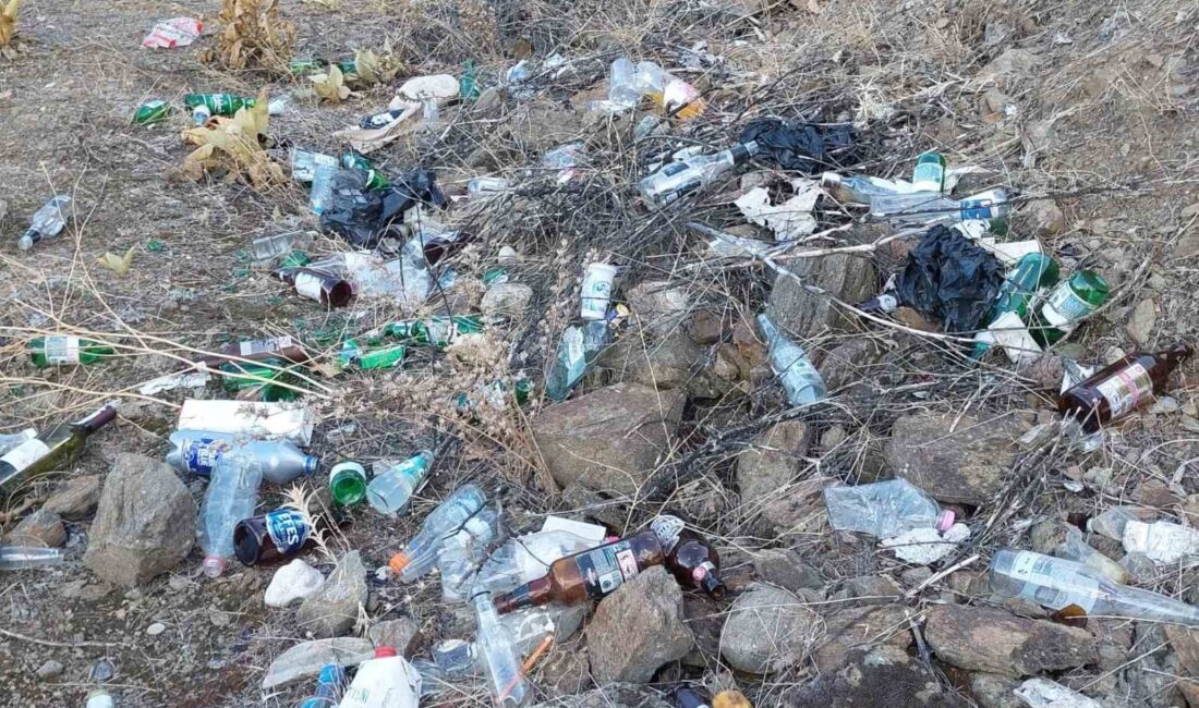 Sarıgöllü çiftçilerden zeytinliğe atılan alkol şişelerine tepki Manisa’nın Sarıgöl ilçesinde, kent