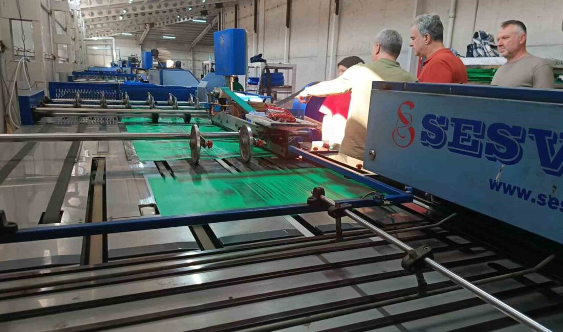 Manisa’nın Soma ilçesinde resmen