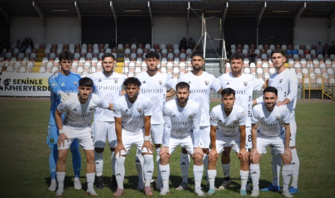 Manisa’nın profesyonel liglerdeki iki