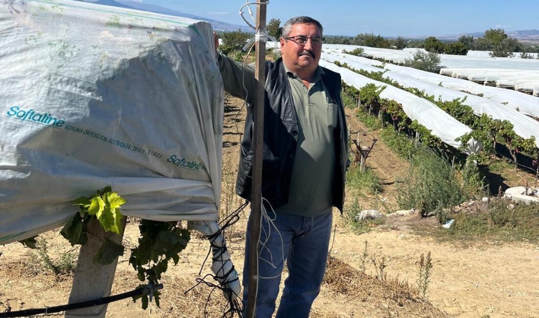 Üzüm bağını hırsızlara karşı kamera ile koruyor Manisa’nın Sarıgöl ilçesine bağlı