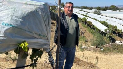 Üzüm bağını hırsızlara karşı kamera ile koruyor