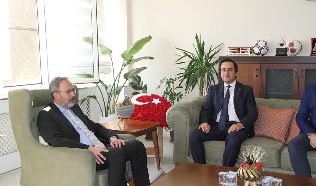 Önceki dönem Gençlik ve