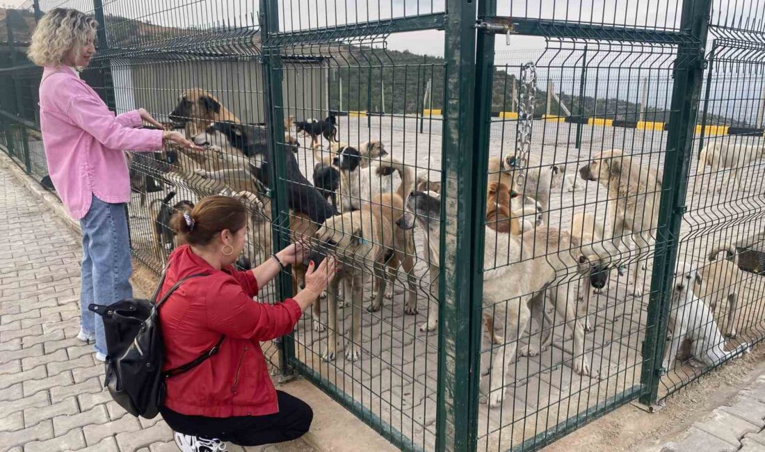 Manisa’nın Alaşehir ilçesi Evrenli
