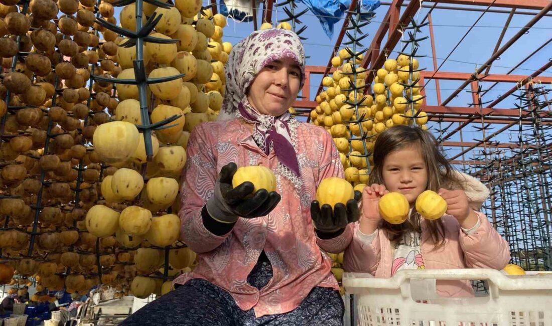 Alaşehir’de ilk kez düzenlenecek