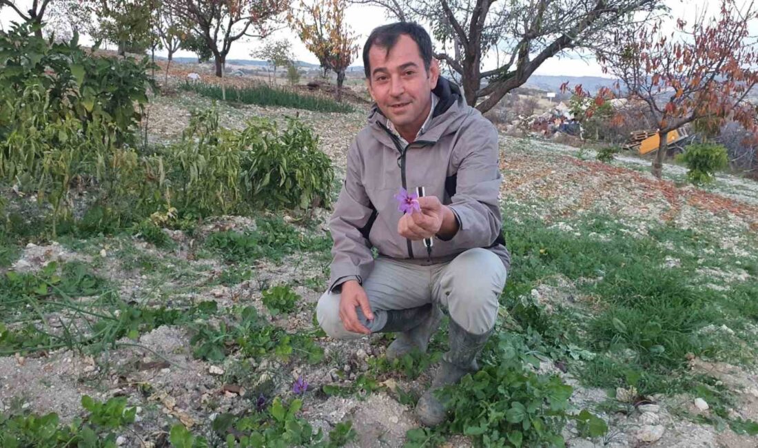 Ege’nin yüksek rakımlı ilçesi