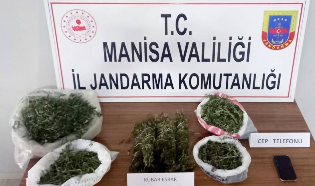 Manisa’da üç ilçede düzenlenen