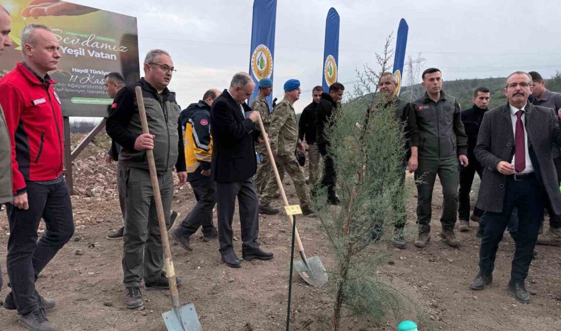 Manisa Orman İşletme Müdürü
