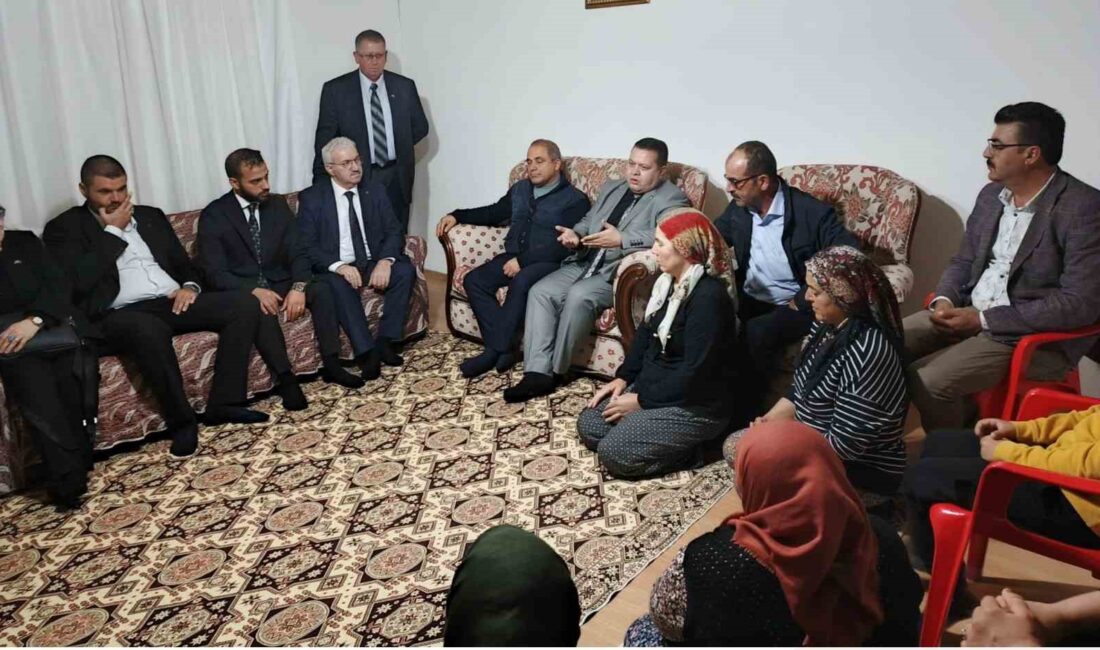 Milliyetçi Hareket Partisi (MHP)