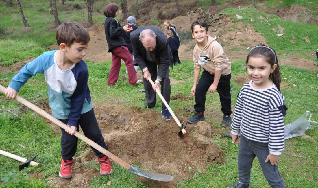 11 Kasım Milli Ağaçlandırma