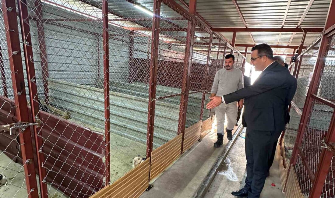 Sarıgöl Kaymakamı Halil Dalak,