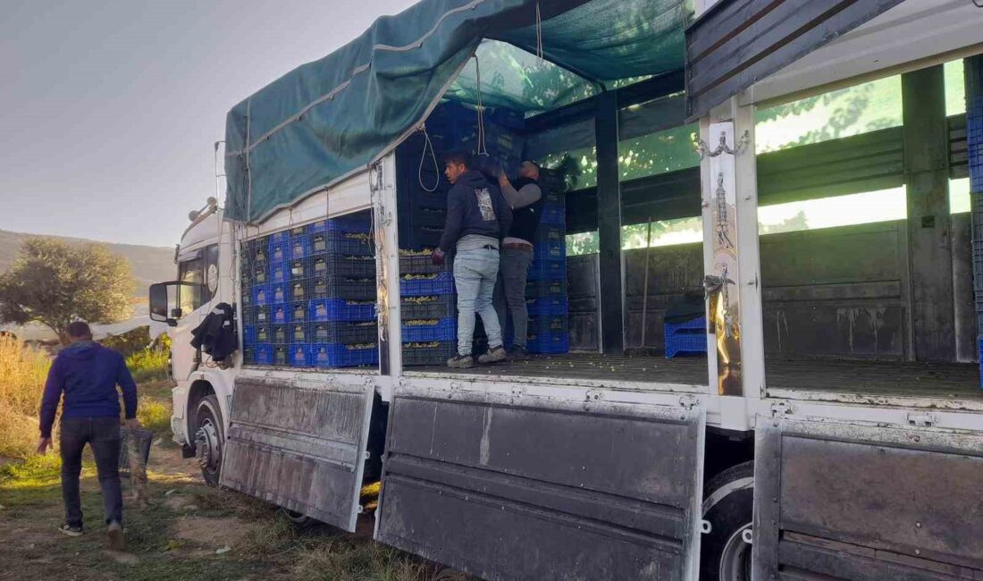Manisa’nın Sarıgöl ilçesinde yaş