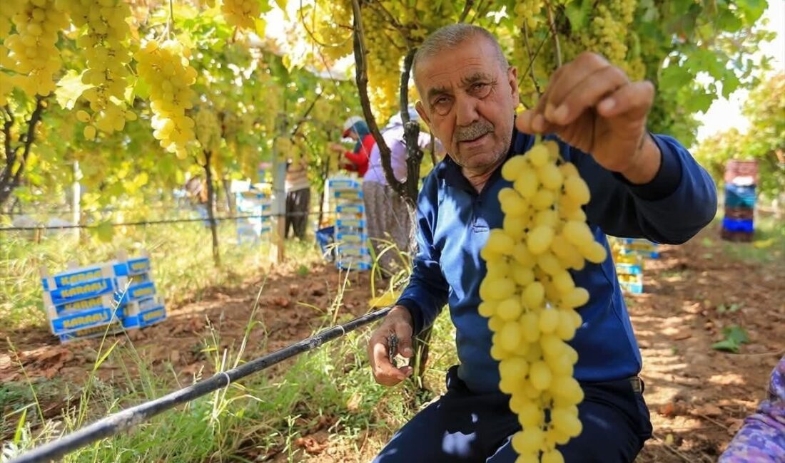 Sarıgöl Ziraat Odası Başkanı