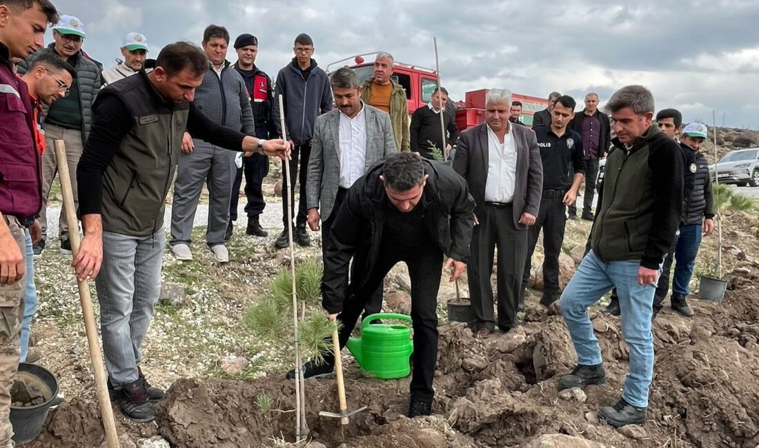 Manisa’nın Selendi ilçesinde 11