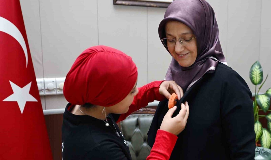 LÖSEV heyeti, 2-8 Kasım