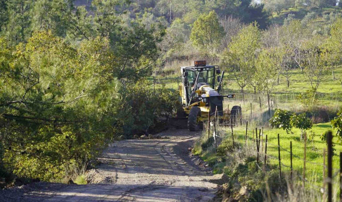 Yunusemre Belediyesi ekipleri, ova