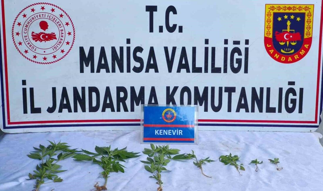 Manisa’nın Salihli ilçesinde jandarma