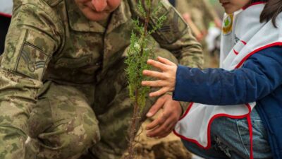 Yangında küle dönen ormanları minik eller yeşertecek