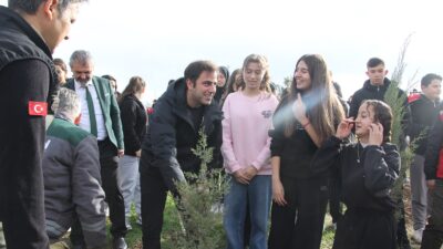 Yangında küle dönen ormanlık alanda fidan diktiler