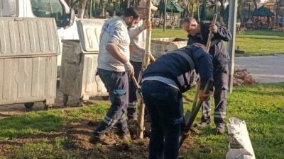 Yunusemre’de ağaçlandırma çalışmaları sürüyor