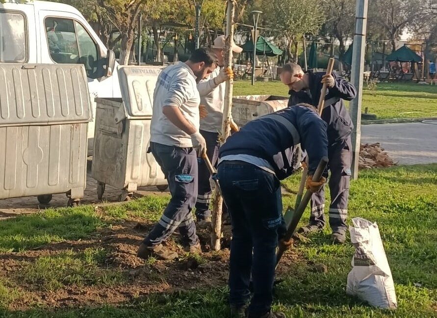 Yunusemre Belediyesi, ilçede yeşil
