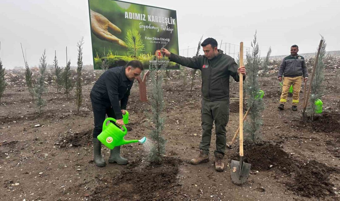 AK Parti Manisa Milletvekili