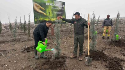 AK Parti Manisa Milletvekili Murat