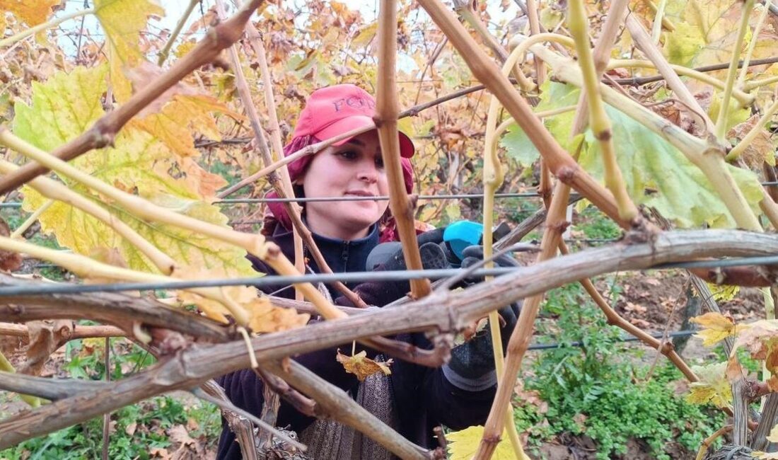 Manisa’nın Sarıgöl ilçesi ve