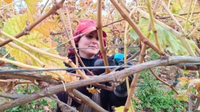 Manisa’nın Sarıgöl ilçesi ve çevresinde