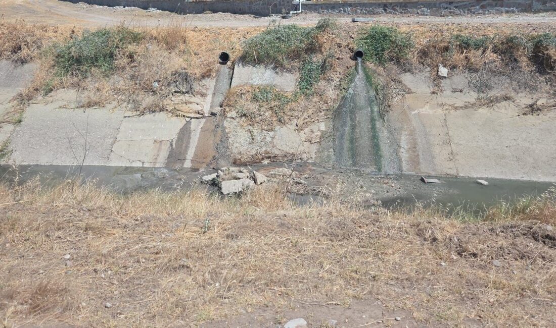 Manisa’nın Saruhanlı ilçesinde yapılan